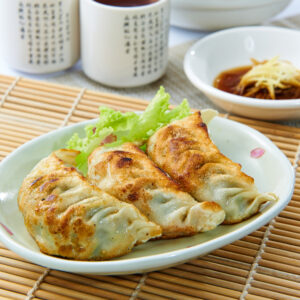 pan fried dumpling